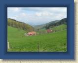 Welschensteinach 2006 083 * 1600 x 1200 * (872KB)